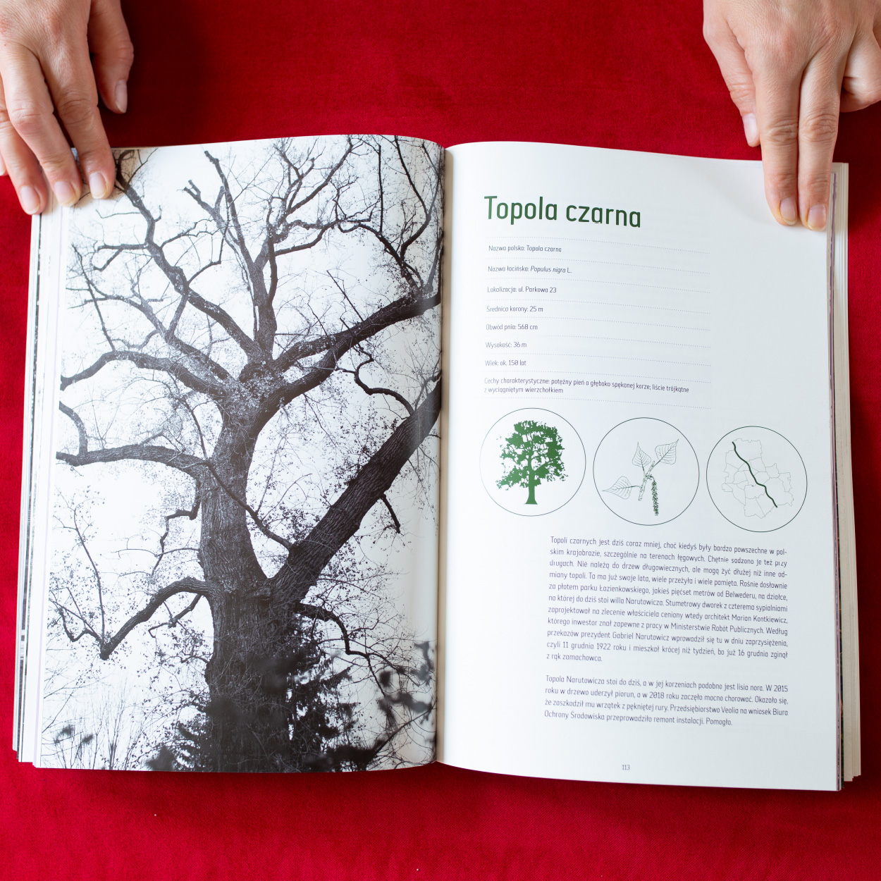 Podstawy projektowania graficznego