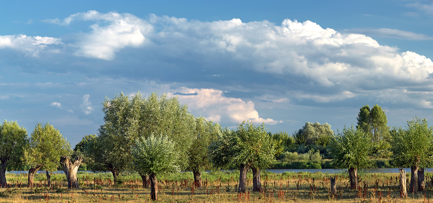 Strategia Rozwoju Kultury województwa mazowieckiego